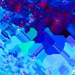 image: Image from the photoset ‘
damage (xxxviii)
’.