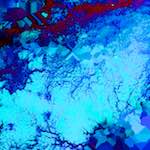 image: Image from the photoset ‘
damage (xxxix)
’.