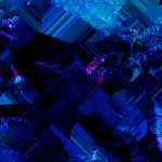 image: Image from the photoset ‘
damage (xl)
’.