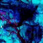 image: Image from the photoset ‘
damage (xl)
’.