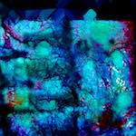 image: Image from the photoset ‘
damage (xl)
’.