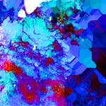 image: Image from the photoset ‘
damage (xlii)
’.