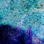 image: Image from the photoset ‘
damage (xliii)
’.