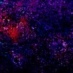 image: Image from the photoset ‘
damage (xliii)
’.