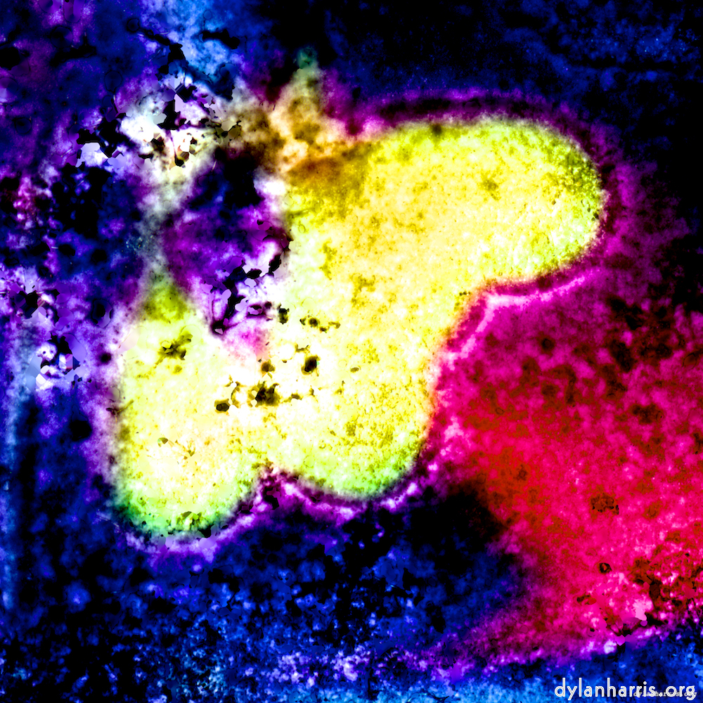 Image 'damage (xliv) 6'.