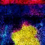 Fourth image from the photoset 'damage (xliv)'.