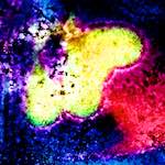 Sixth image from the photoset 'damage (xliv)'.