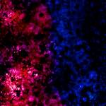 Ninth image from the photoset 'damage (xliv)'.