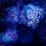 image: Image from the photoset ‘
damage (xlv)
’.