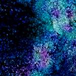 image: Image from the photoset ‘
damage (xlv)
’.