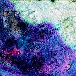 image: Image from the photoset ‘
damage (xlv)
’.