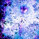 image: Image from the photoset ‘
damage (xlv)
’.