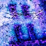 image: Image from the photoset ‘
damage (xlv)
’.