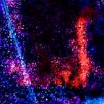 image: Image from the photoset ‘
damage (xlvi)
’.