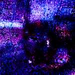 image: Image from the photoset ‘
damage (xlvi)
’.