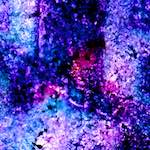 image: Image from the photoset ‘
damage (xlvi)
’.