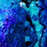 image: Image from the photoset ‘
damage (xlvii)
’.