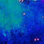 image: Image from the photoset ‘
damage (xlvii)
’.