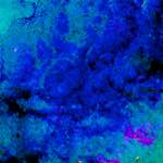 image: Image from the photoset ‘
damage (xlvii)
’.