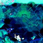 image: Image from the photoset ‘
damage (xlviii)
’.