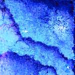 image: Image from the photoset ‘
damage (il)
’.