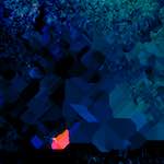 image: Image from the photoset ‘
damage (l)
’.