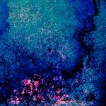 image: Image from the photoset ‘
damage (li)
’.