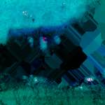 image: Image from the photoset ‘
damage (lii)
’.