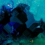 image: Image from the photoset ‘
damage (lii)
’.