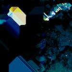 image: Image from the photoset ‘
damage (lii)
’.