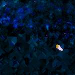 image: Image from the photoset ‘
damage (liii)
’.