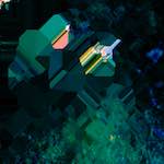 image: Image from the photoset ‘
damage (liii)
’.