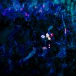 image: Image from the photoset ‘
damage (liii)
’.