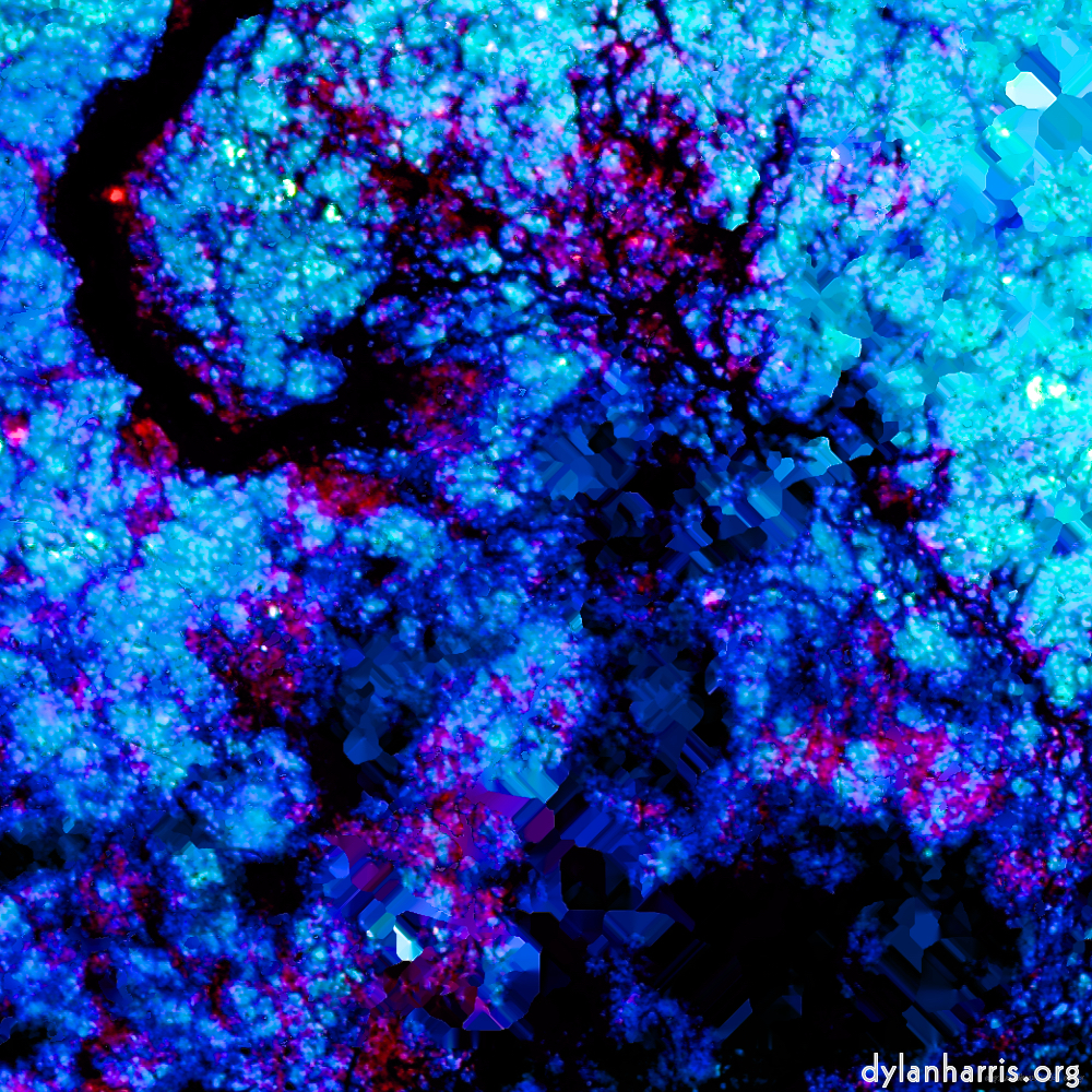 Image: Image 'damage (liv) 6'.