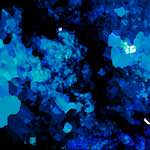 image: Image from the photoset ‘
damage (liv)
’.