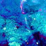 image: Image from the photoset ‘
damage (liv)
’.