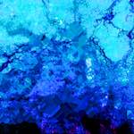 image: Image from the photoset ‘
damage (liv)
’.