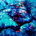 image: Image from the photoset ‘
damage (liv)
’.