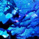 Image: Second image from the photoset 'damage (lv)'.