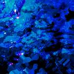 Image: Fourth image from the photoset 'damage (lv)'.