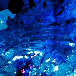 Image: Sixth image from the photoset 'damage (lv)'.