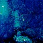 Image: Eighth image from the photoset 'damage (lv)'.