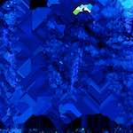 image: Image from the photoset ‘
damage (lvi)
’.