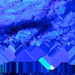 image: Image from the photoset ‘
damage (lvi)
’.