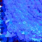 image: Image from the photoset ‘
damage (lvi)
’.