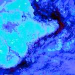 image: Image from the photoset ‘
damage (lvi)
’.