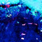 image: Image from the photoset ‘
damage (lvii)
’.