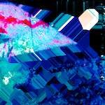 image: Image from the photoset ‘
damage (lvii)
’.