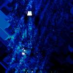 image: Image from the photoset ‘
damage (lviii)
’.