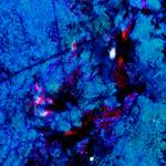 image: Image from the photoset ‘
damage (lviii)
’.